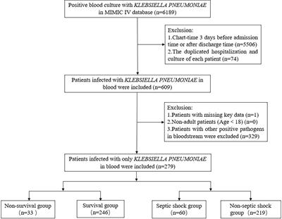 Protective efficacy of statins in patients with Klebsiella pneumoniae bloodstream infection